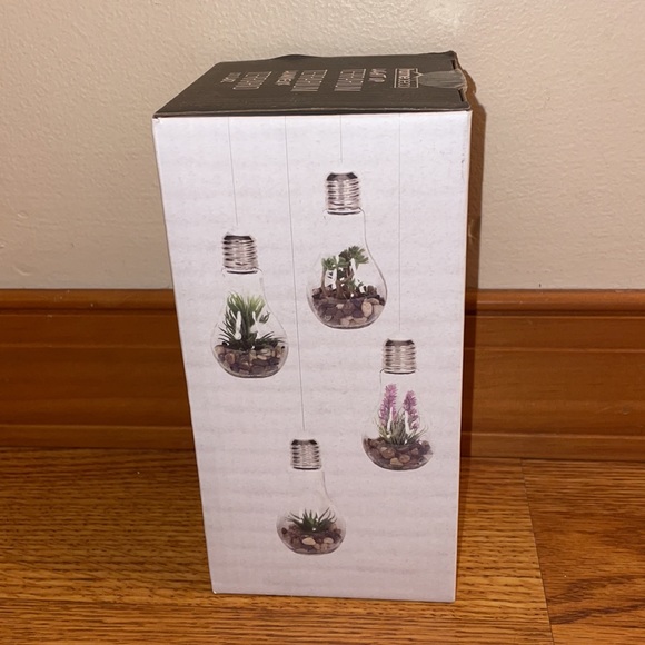 Home Deco Light Up Terrarium - Picture 4 of 4